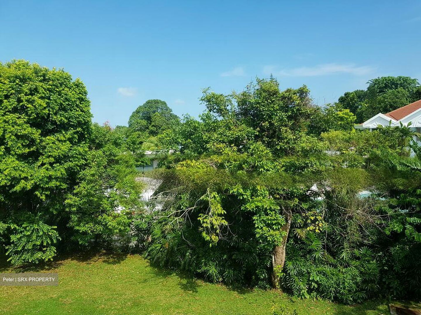 Bukit Timah Estate (D10), Detached #468537151